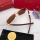 Cartier Double Bridge Titanium Sunglasses - Exact Replica (8)_th.jpg
